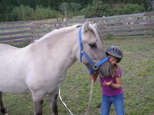 Silver Beauty -- Paradise Fjords Breeding Mare